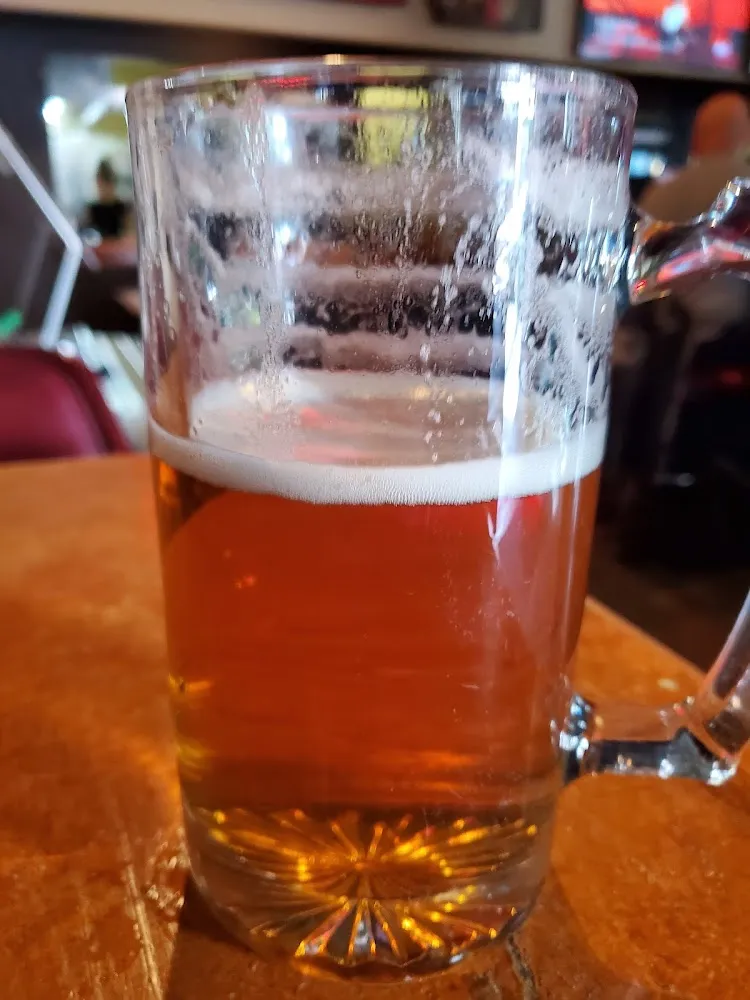 Cold Lagunitas IPA